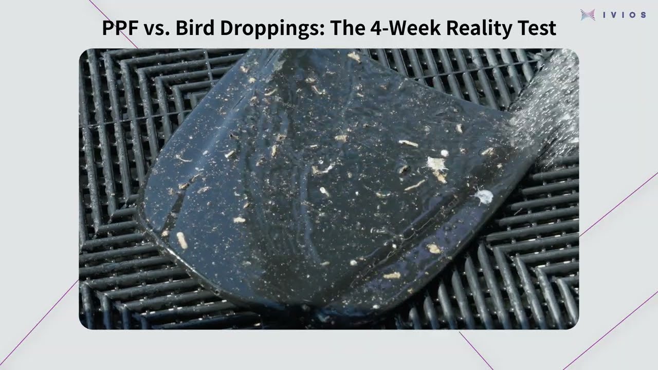 4 Weeks of Bird Droppings on PPF – Real Outdoor Test