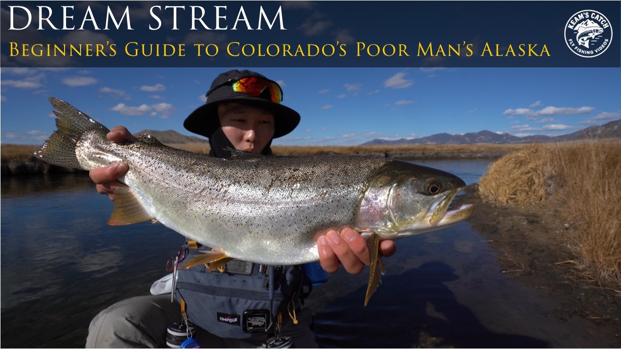 Beginner's Guide to Colorado's Dream Stream | 4K Video Fly Fishing | Colorado's Poor Man's Alaska