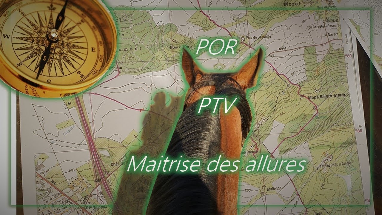 On vous emmène à notre premier entrainement de TREC !