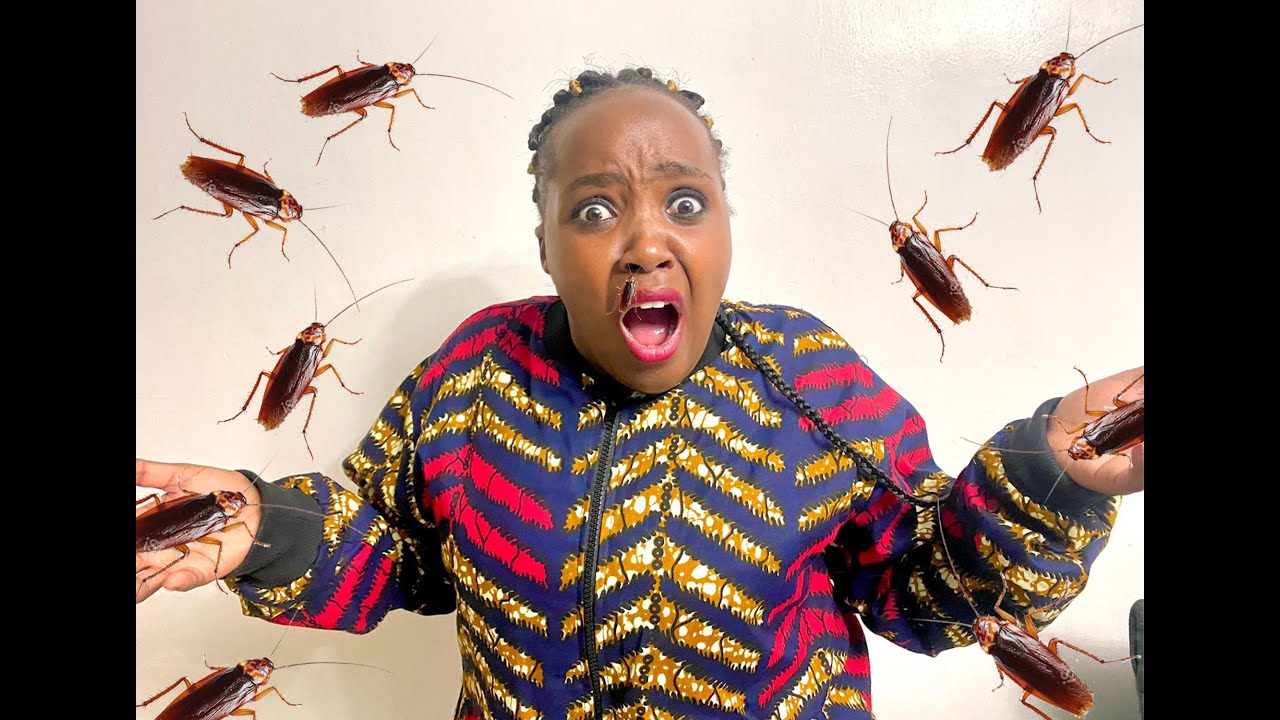 HOW I CONTROL ROACHEZ!! ONCE AND FOR ALL
