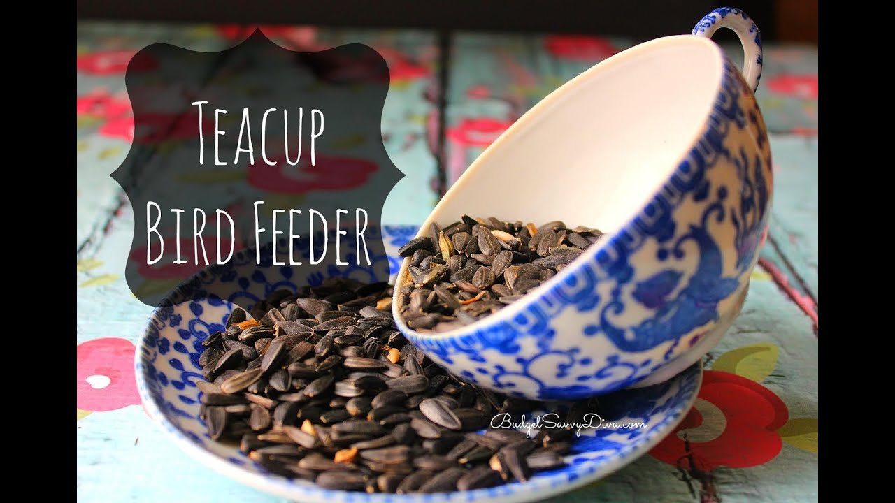 How To Make A Teacup Bird Feeder
