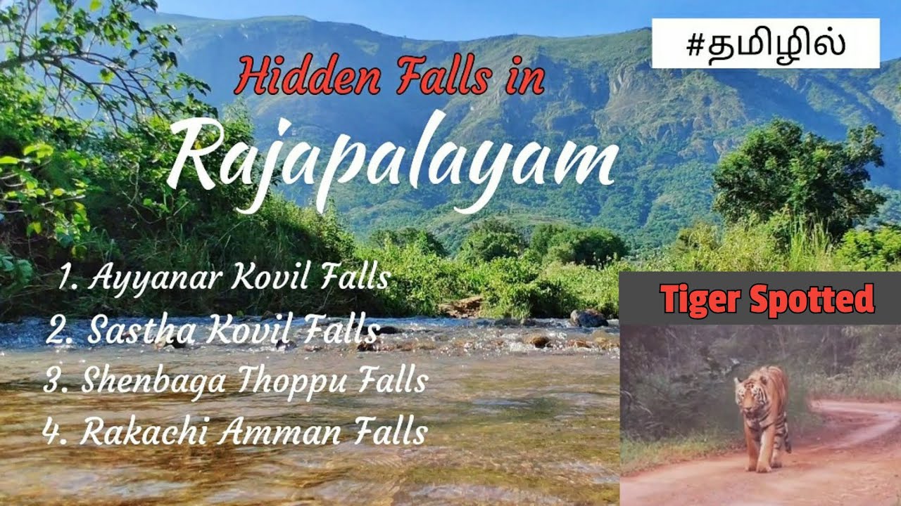 Hidden Falls In Rajapalayam | Deep Reserve Forest | Trekking | Tiger Spotted | Wander With RR |