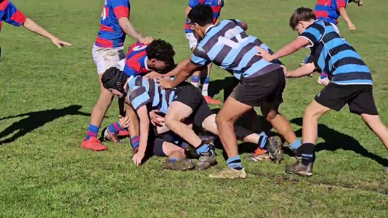 2025 Saturday Rugby HPC v Collegiate 2nds