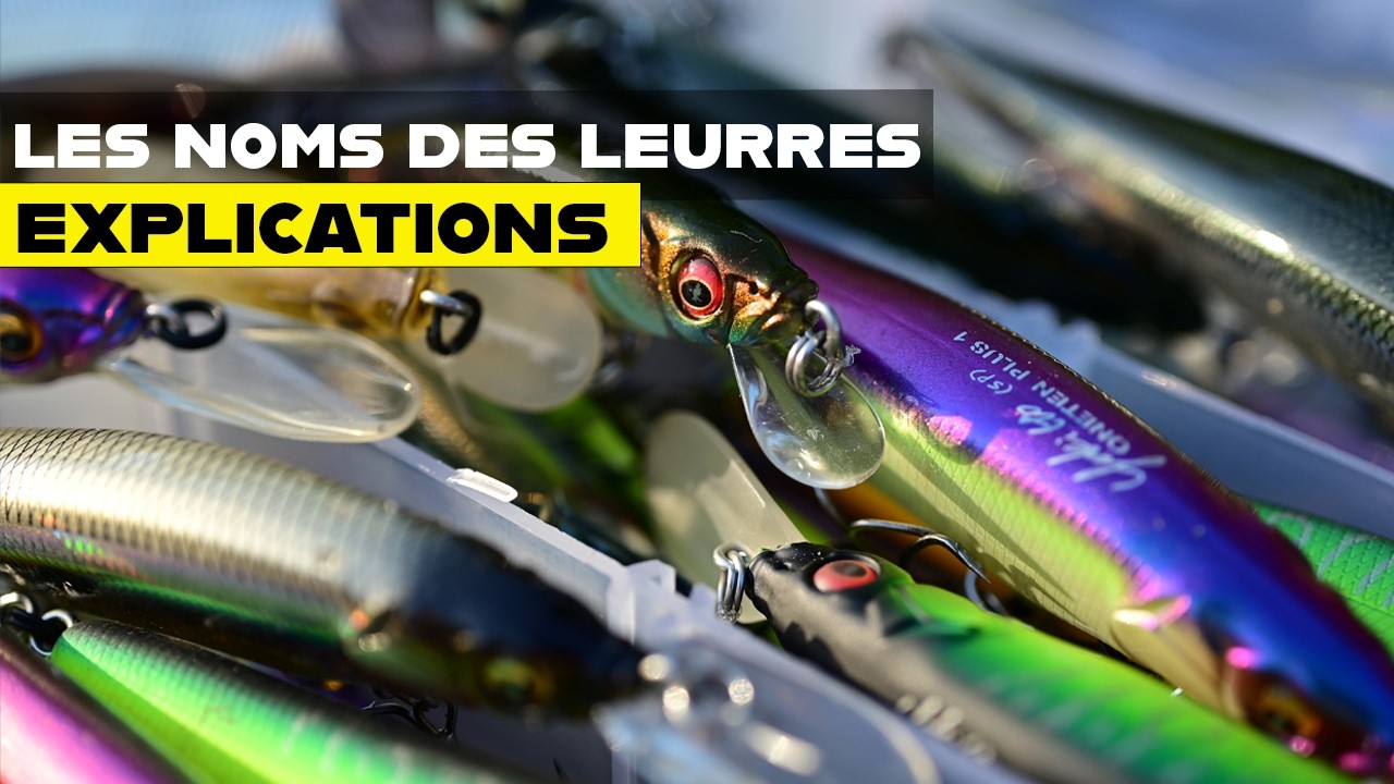 Comprendre les familles de leurres - glossaire, traduction et conseils