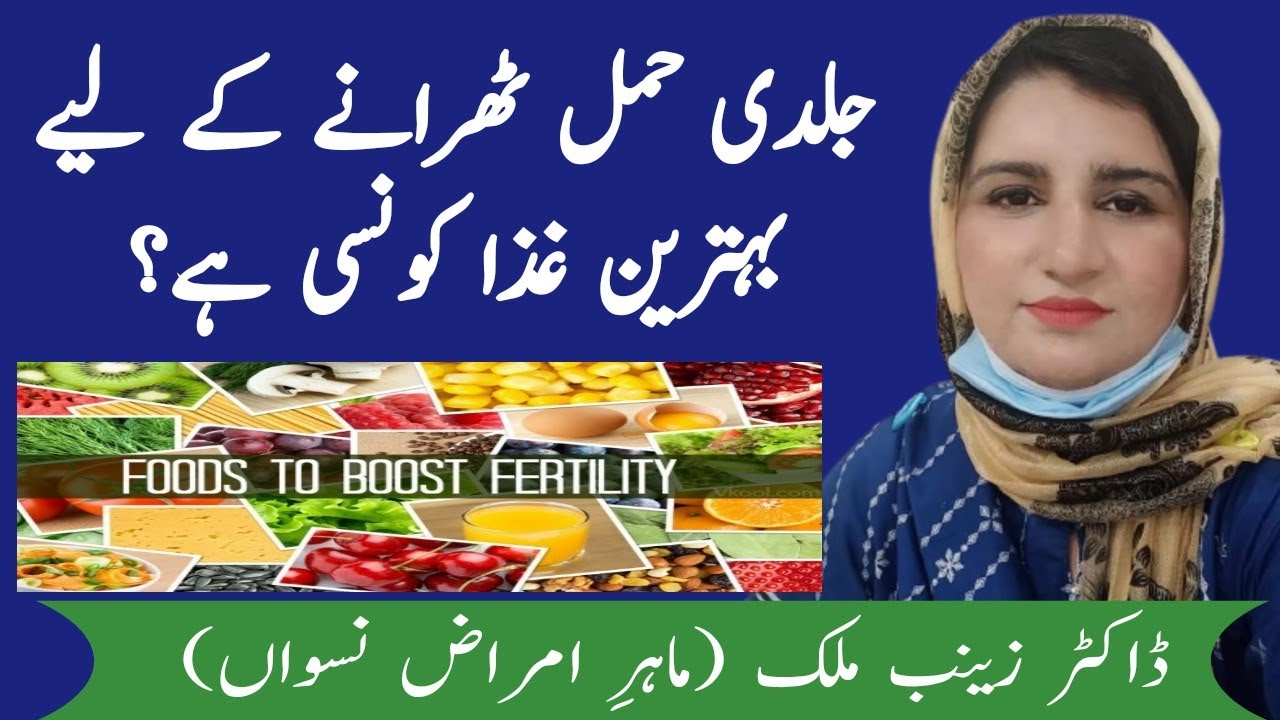 Top 10 foods to boost fertility /diet that help to concieve early/urdu/hindi @doctorzainabmalik