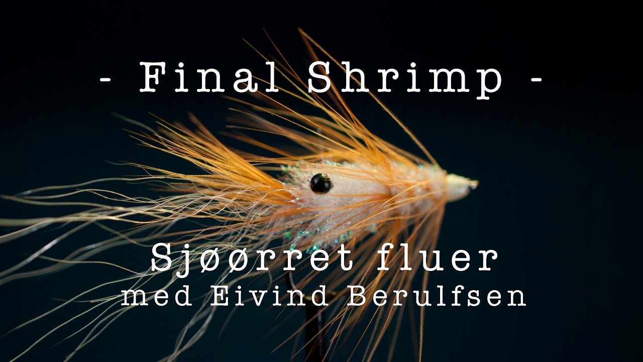 Sjøørret fluer - Final shrimp. Med Eivind Berulfsen