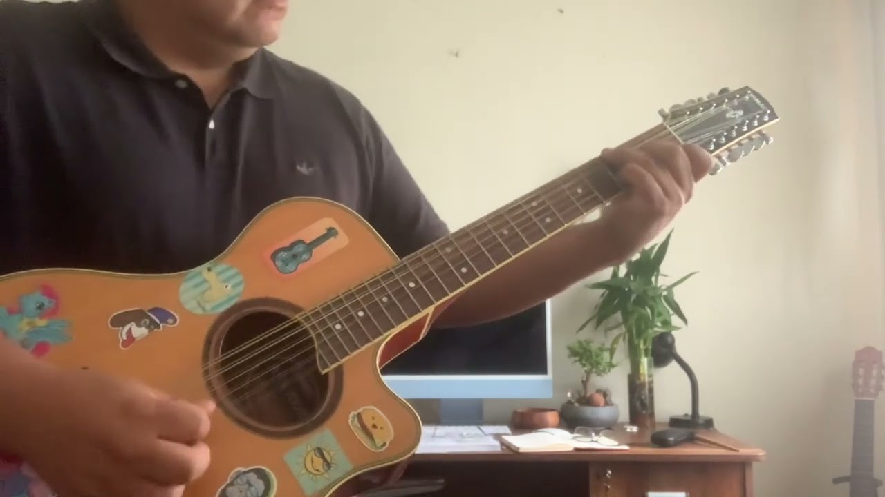 Naked and Savage - The Mission 12 String acoustic guitar