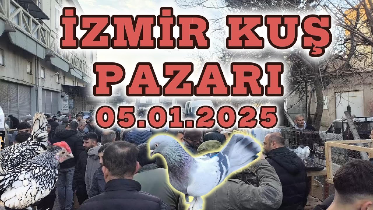 İZMİR YENİ KUŞ PAZARI #78