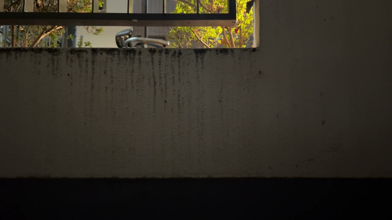 Quiet Evening Balcony Ambience | Urban Ambient Sound | No Music
