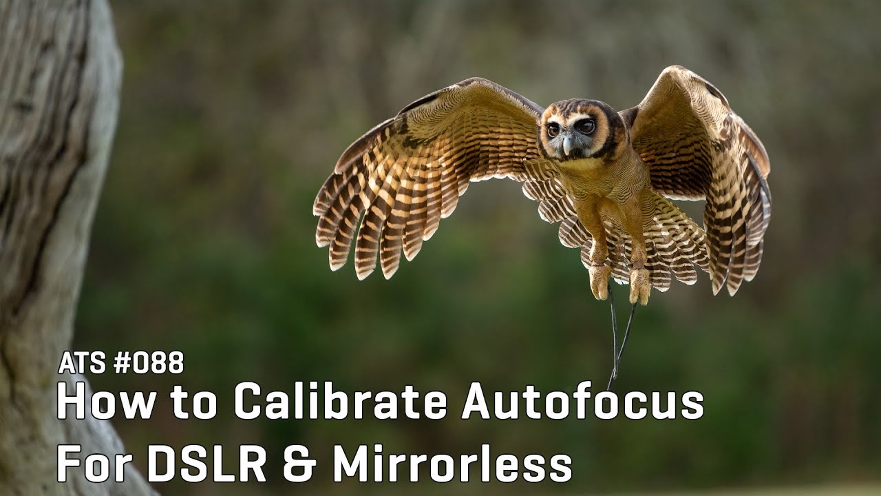 Approaching the Scene 088: How to Calibrate Autofocus For DSLR & Mirrorless