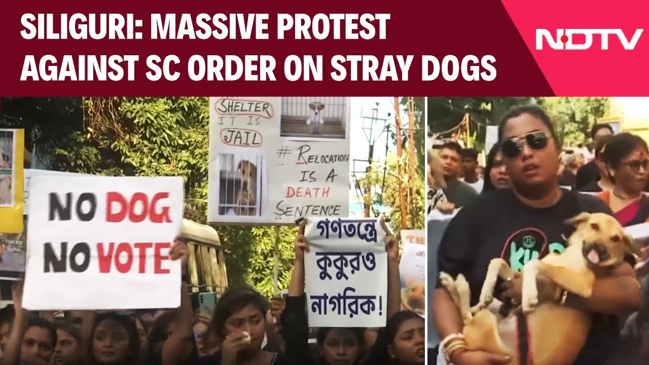 Stray Dogs Delhi | Siliguri: Animal Lovers Stage Protest Against SC Order On Stray Dogs
