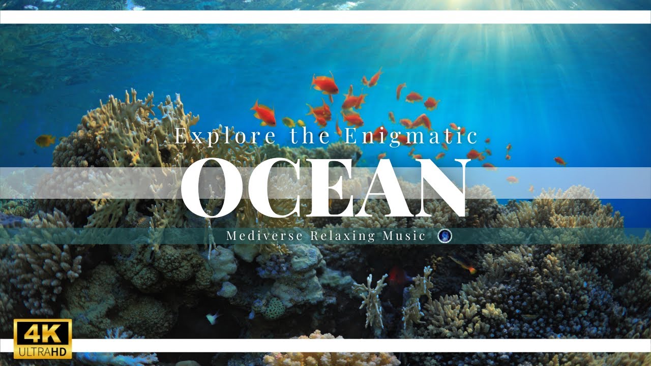 Ocean Relaxing Sleep Music -  Ocean Waves, Fall Asleep Fast, Relaxing Music, Sleeping Music