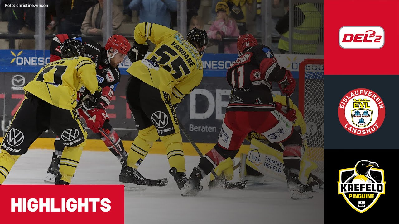 DEL2: EV Landshut vs. Krefeld Pinguine | Highlights - 8. Spieltag