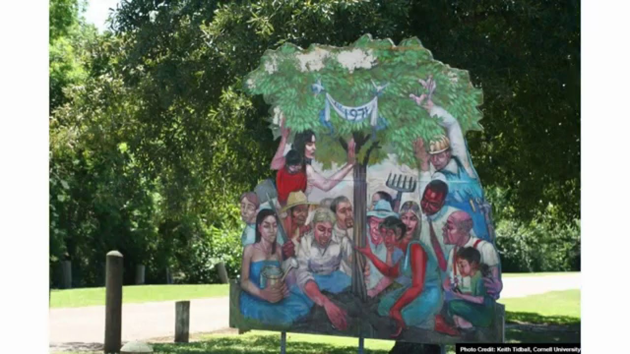 Marianne Krasny:  Collective Efficacy