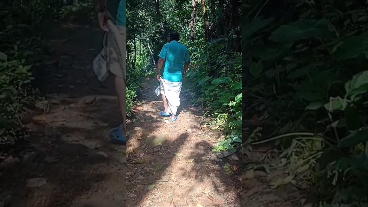 #chittar #manpilav #waterfall #travel #tranding #viralvideo #music