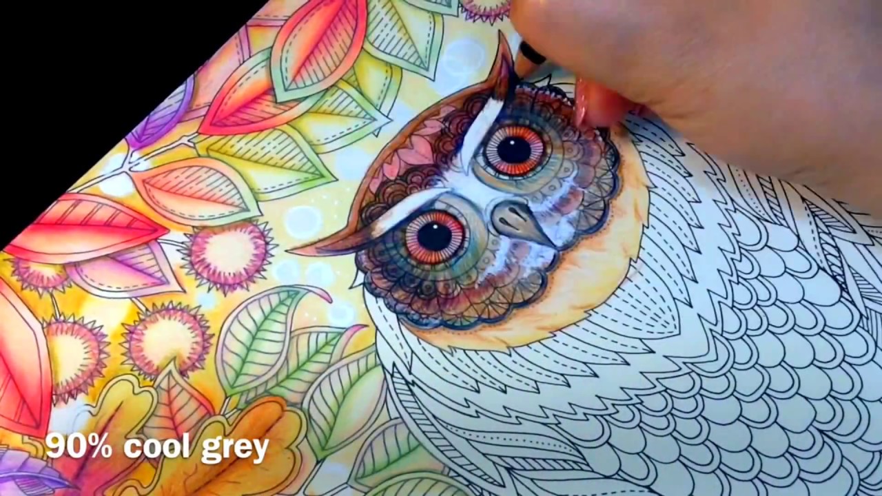 Secret Garden The Owl (Time Lapsed)