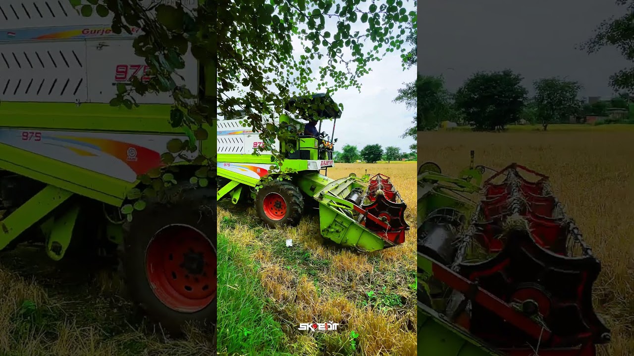 FARMING TIME Mini Vlog 1 🌿🌾 
