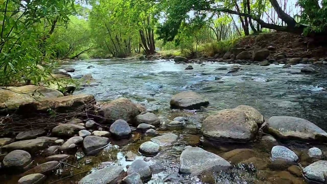 עטו גלימות של יושר, אך בלב שקר