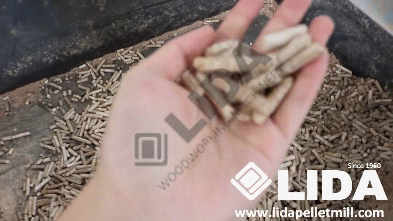 Combined pellet machine and hammer mill from Yantai Lida