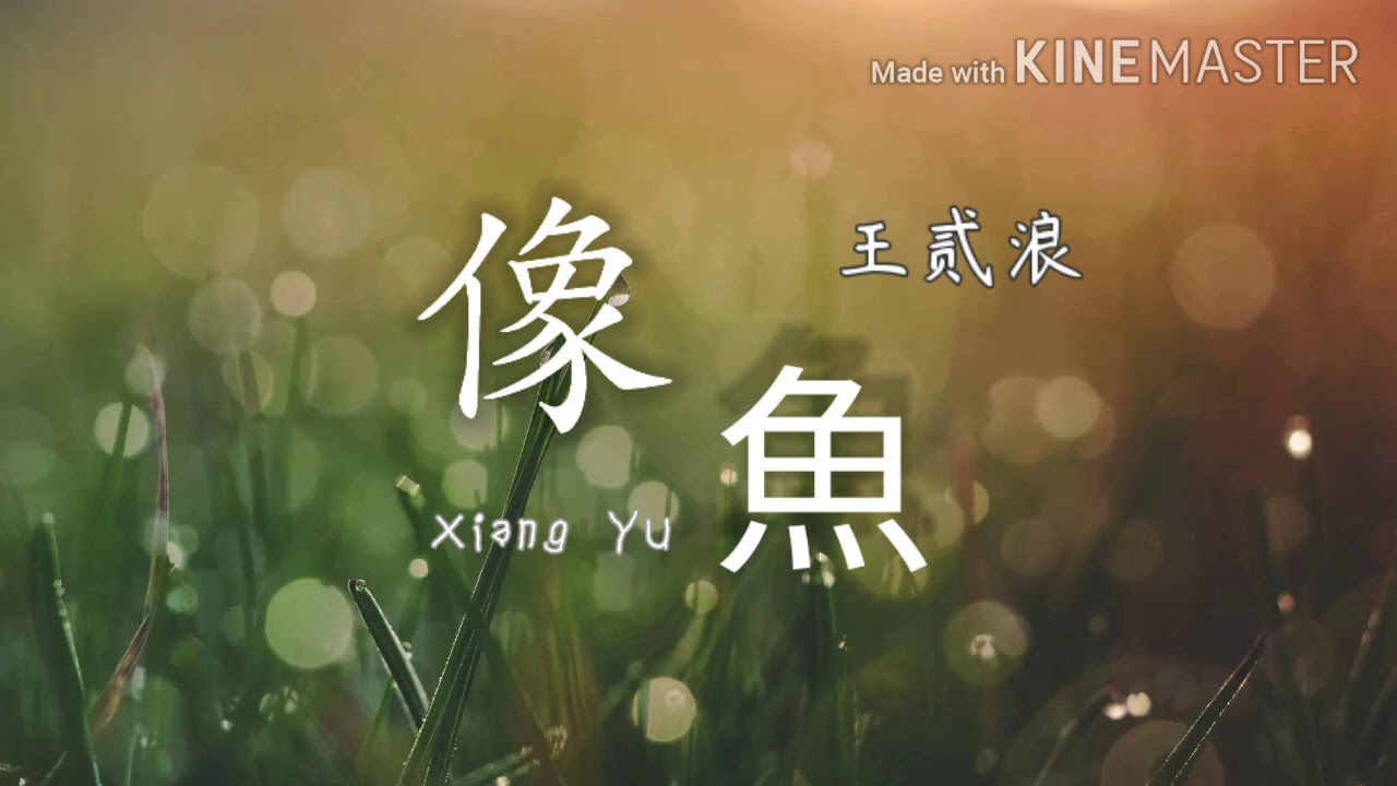 王贰浪-Xiang Yu像魚《Lirik Pinyin》