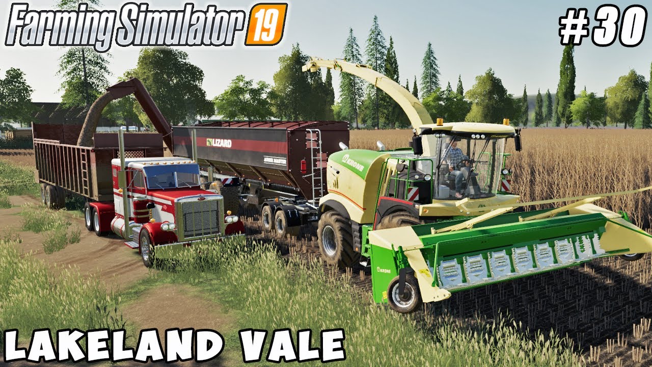 Harvesting of poplar, sale of wood chips | Lakeland Vale 2 | Farming simulator 19 | Timelapse #30