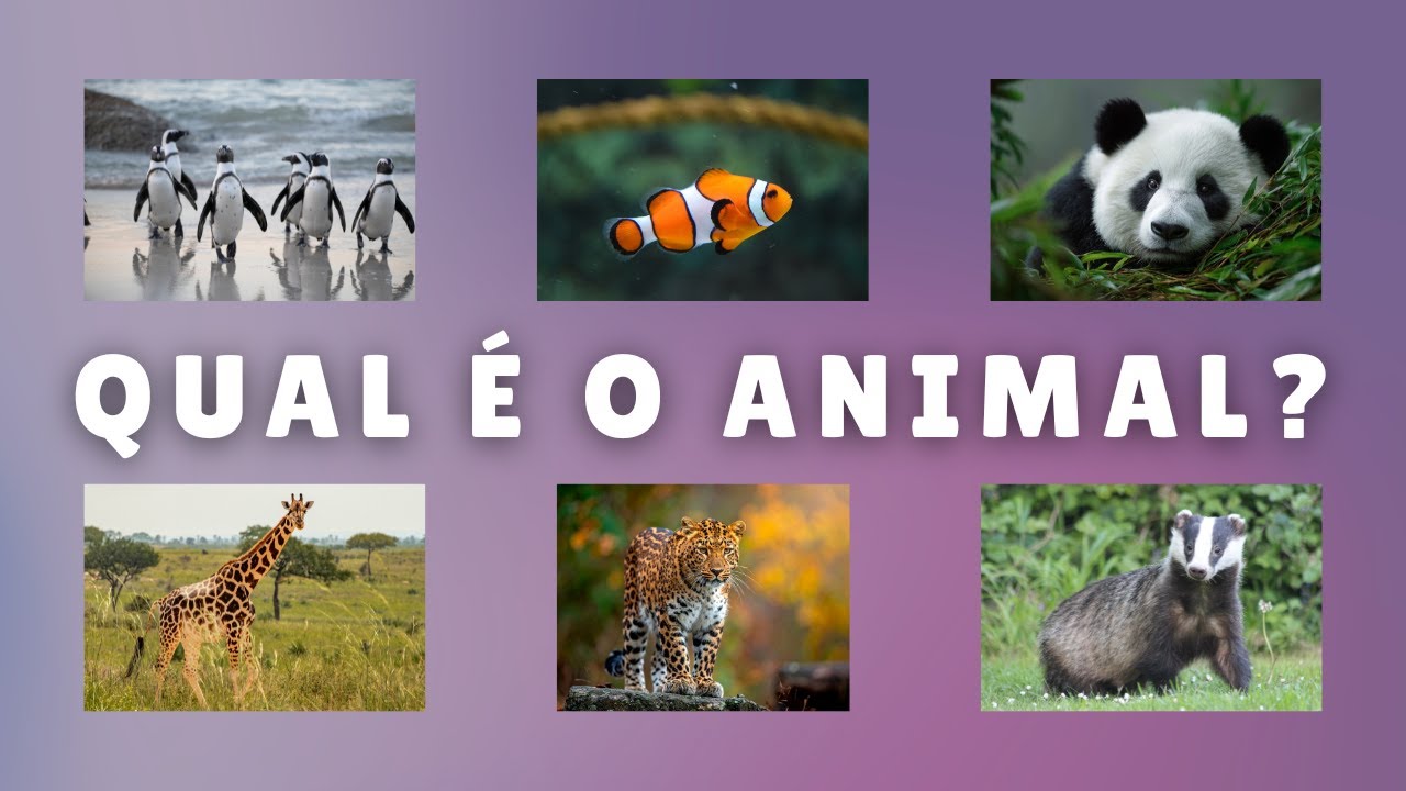 ADIVINHE OS 45 ANIMAIS PELA IMAGEM