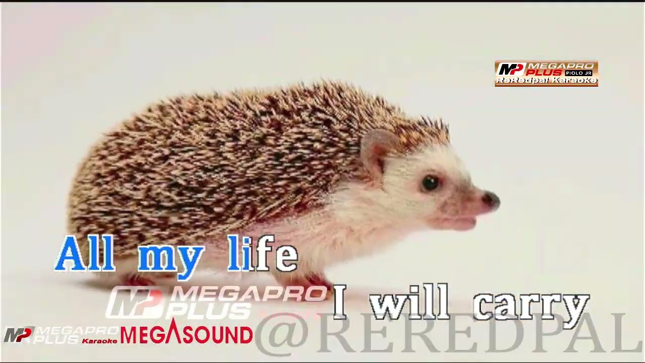 All my life - America || Megapro plus midi karaoke || FIXED GROUND.