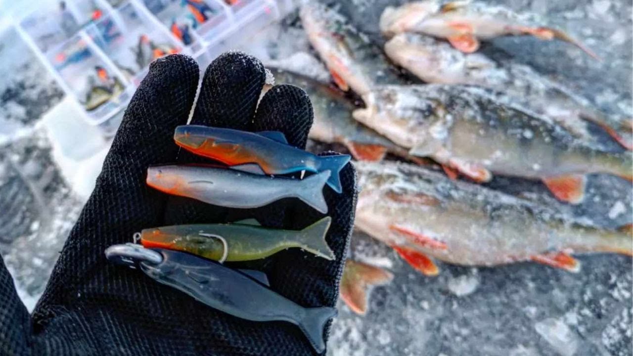 TALVEN UUTUUS PILKKIJIGI |  ORKA HYBRID SHAD | ARVONTA!