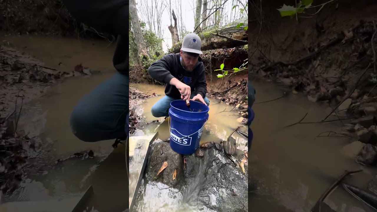 Digging for gold in a small creek #gold