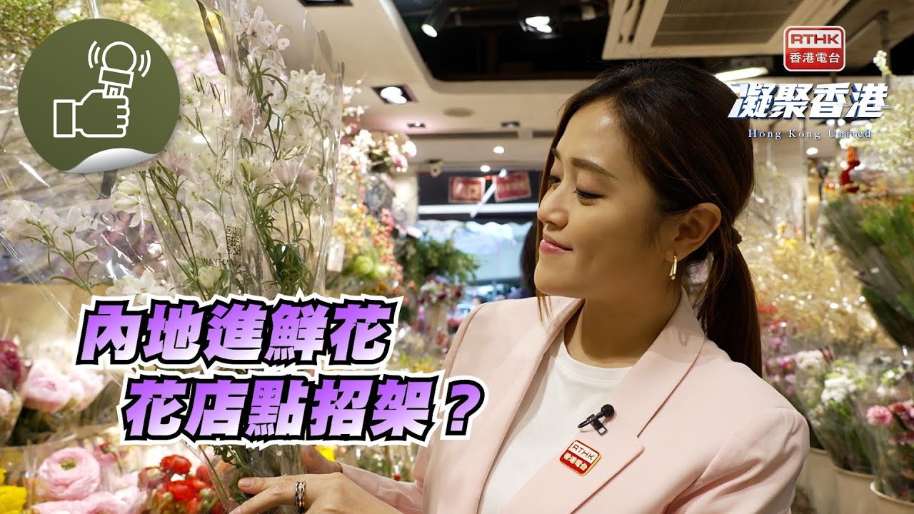 凝聚香港 - 當情人節遇上年廿七，花墟是否旺丁又旺財？平價花打入花墟，傳統花業怎樣自救？