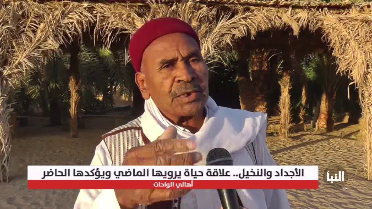 الحاج محمد باكير الأوجلي من أوجلة يتحدث للنبأ عن شجرة النخيل وكيف كان الأجداد يستخدمونها في البناء
