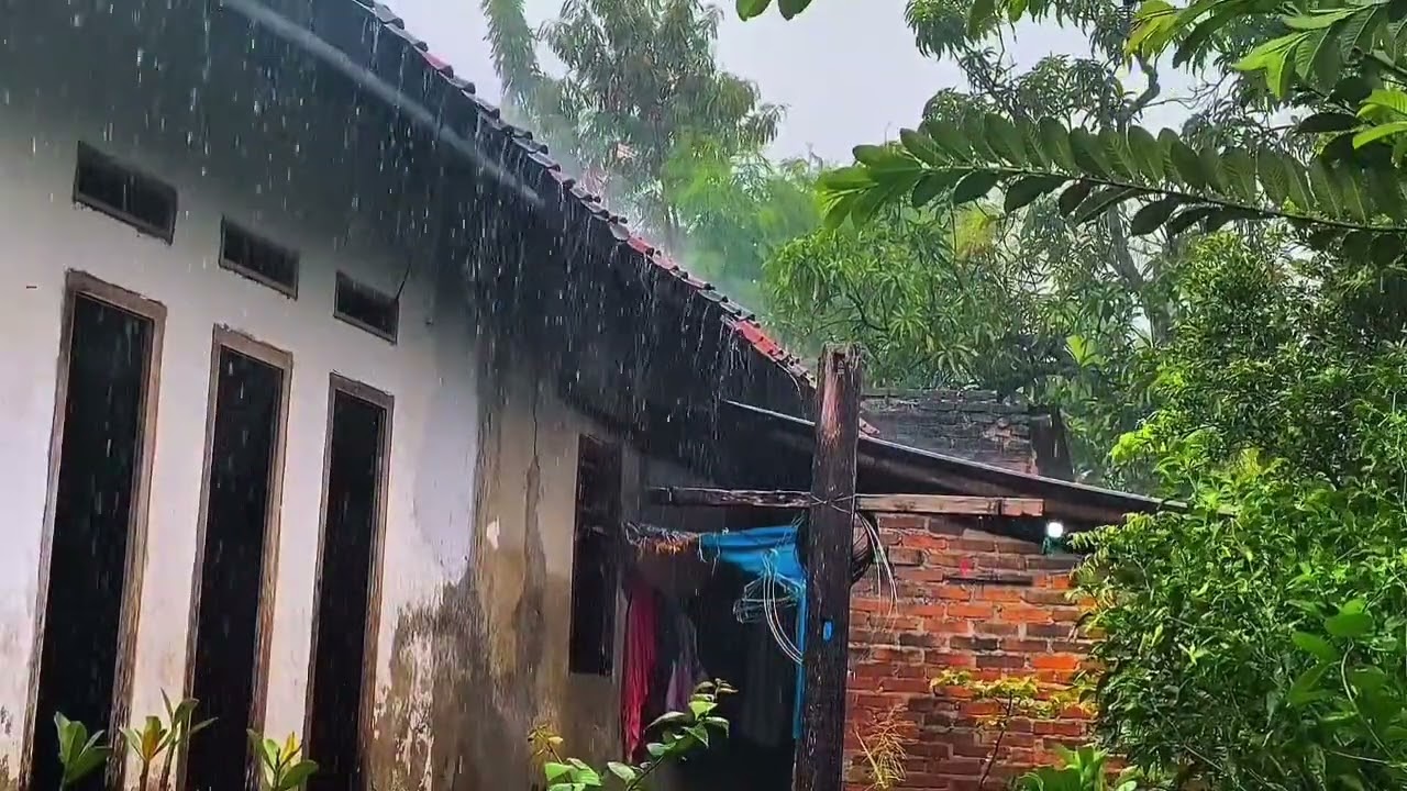 Peaceful Rain ASMR ❤ | Natural Rain Ambience for Relaxation