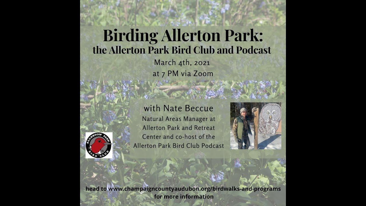 Birding Allerton Park and the Allerton Park Bird Club and Podcast