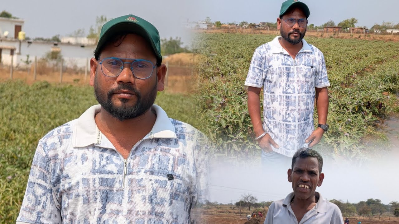 Sabji farming