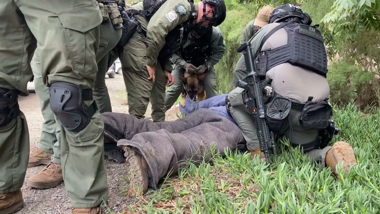 Unidad Canina de la policía municipal de Tijuana, .  Musica: CactusMúsico: Jeff Kalle