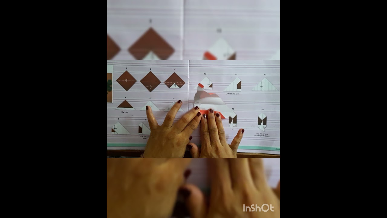 Acron (Origami) Std - III