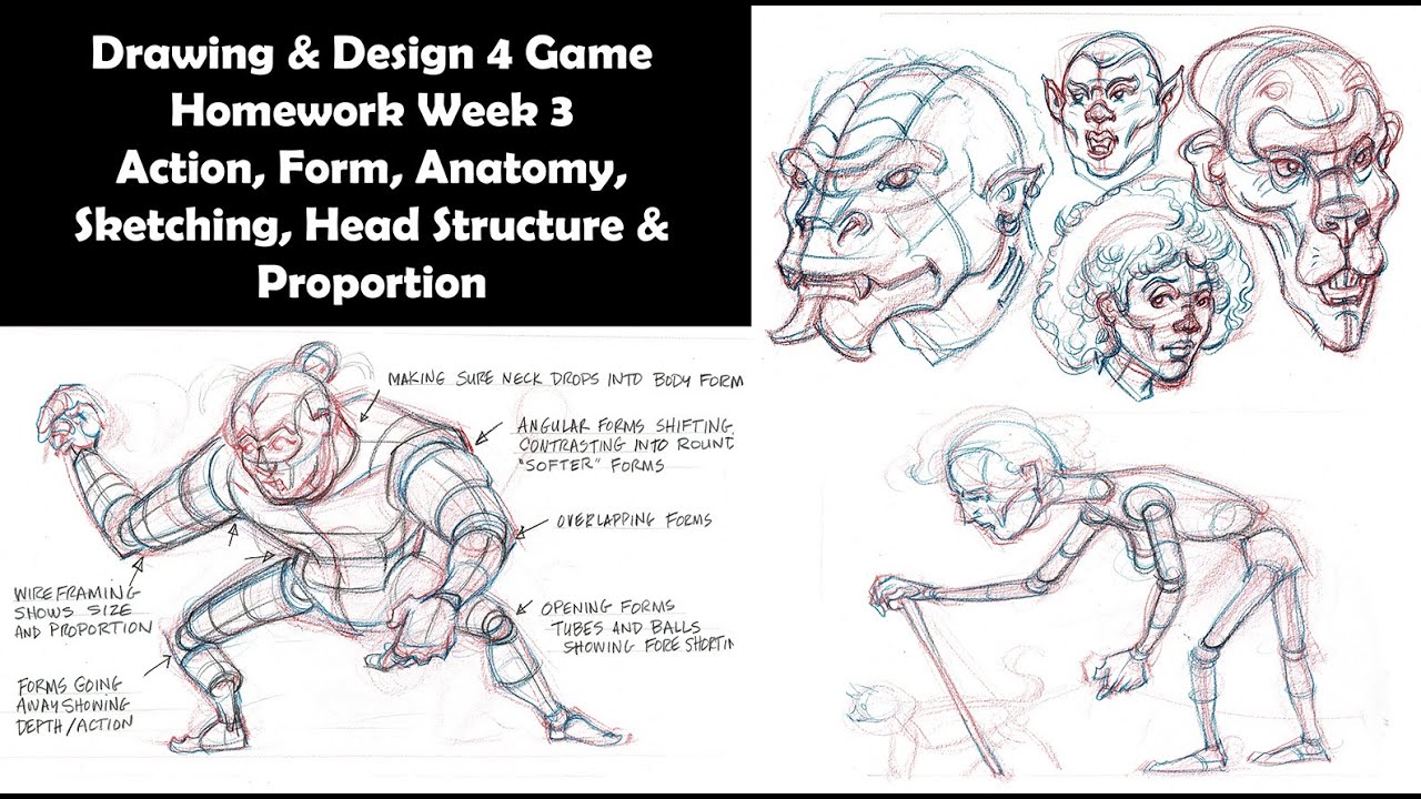 DRAW & DESIGN CLASS 4 CHARACTER - HOMEWORK WEEK 3 ACTION, FORM, ANATOMY, PROPORTIONS, HEAD STRUCTURE