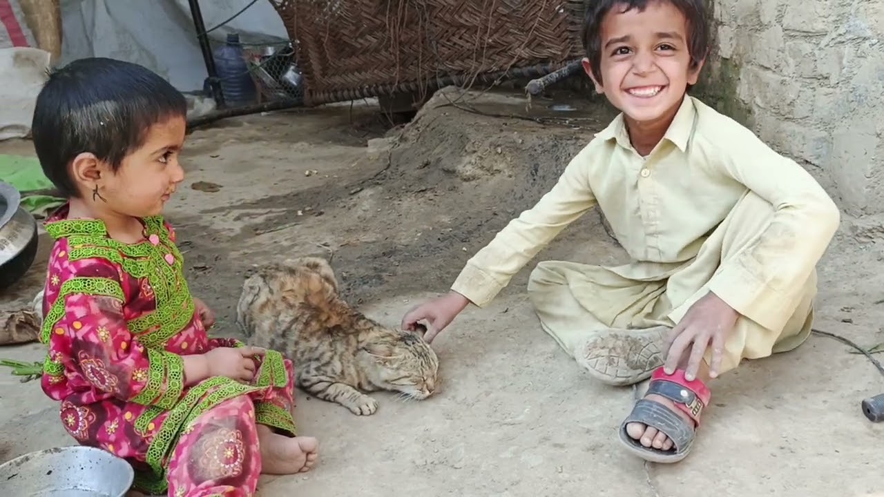 Two kids one cat on playing in village walidlife 