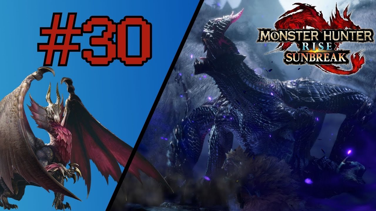 Monster Hunter Rise: Sunbreak Playthrough | Part 30 Famed Risen Slayer Soloish | Zerothehiden