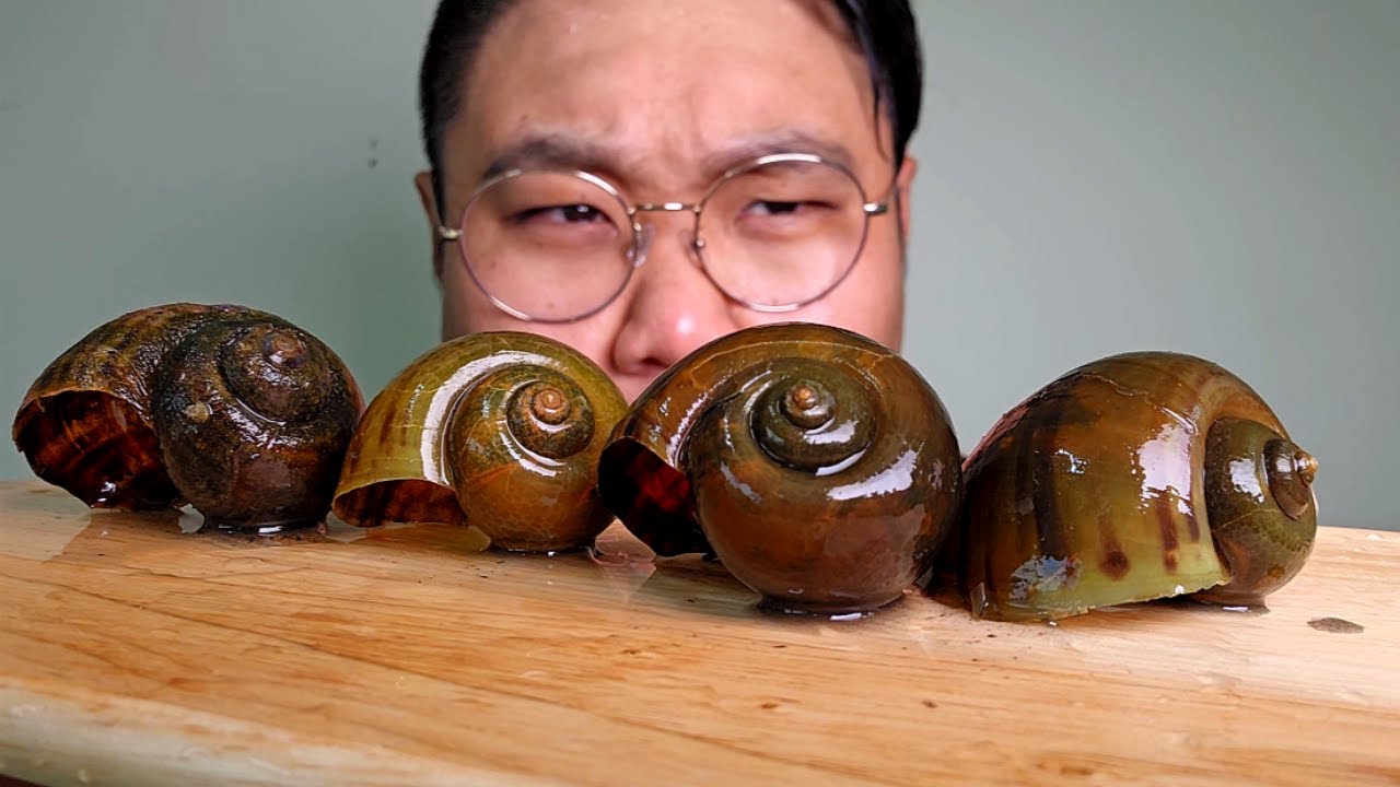 왕우렁이 잡아서 달팽이요리 에스카르고 만들어 먹기!! ㅋㅋㅋㅋㅋㅋ