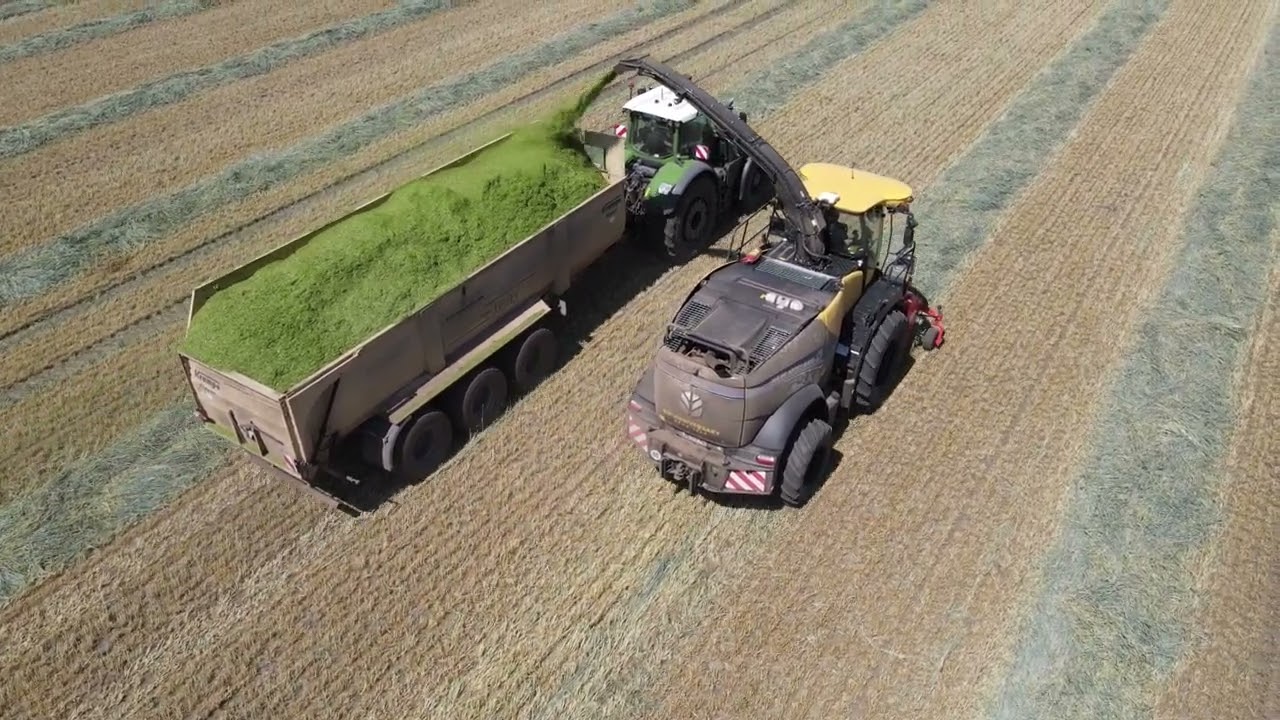 NEW HOLLAND FR 780, FENDT 1050, XERION 4200 - GPS ERNTE 2023  / Whole plant silage