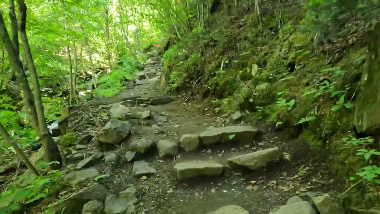 La coupole des draveurs, SEPAC des Hautes-Gorges-de-la-Rivière-Malbaie