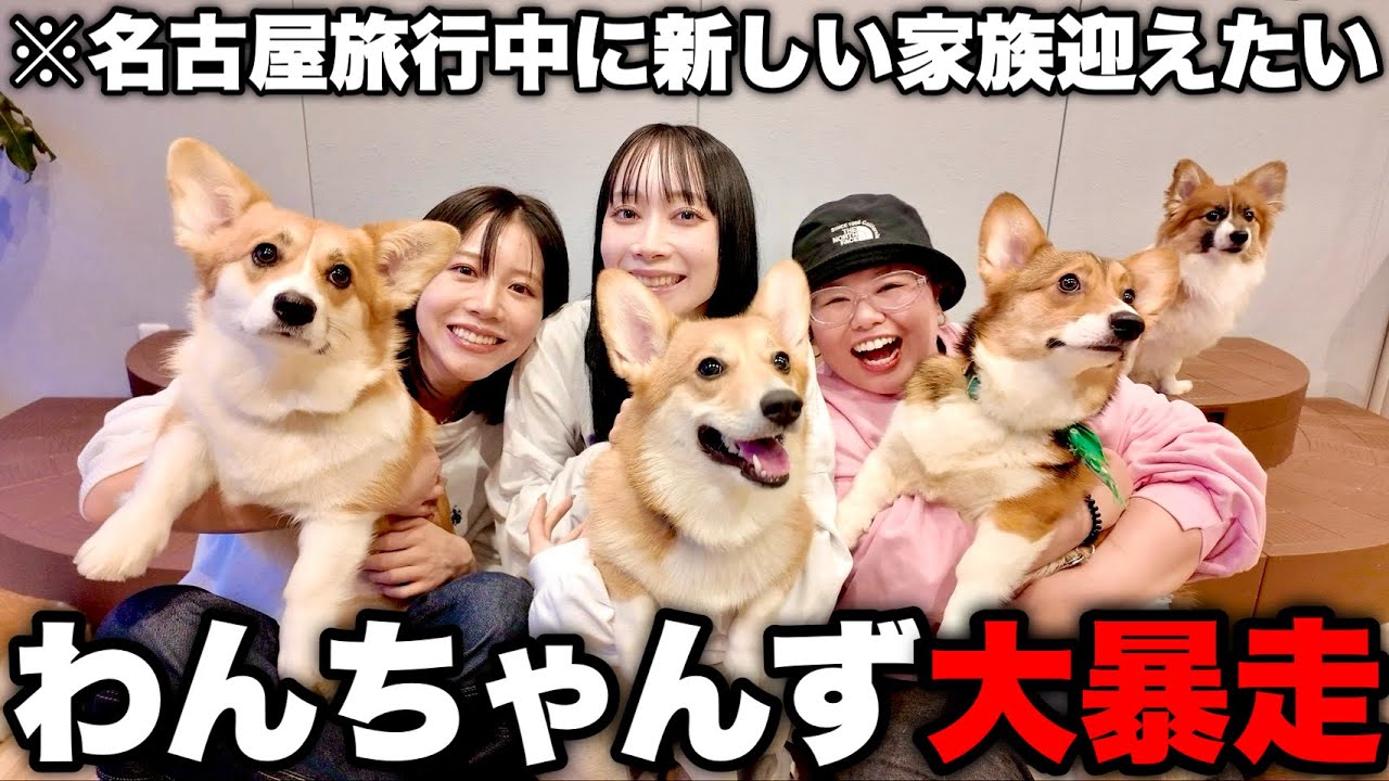 コーギー愛好家の親友を夢の国連れてったらはちゃめちゃ大興奮wwwww