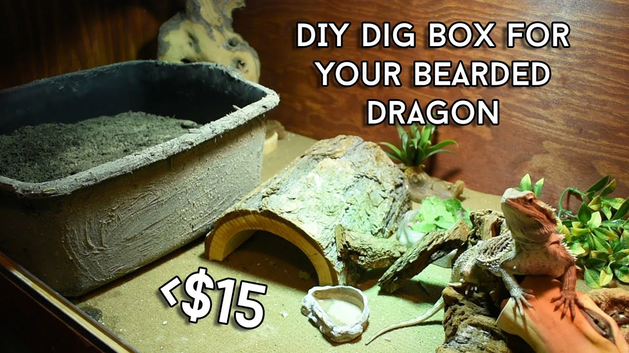DIY - How To Make A Digging Box For Your Bearded Dragon