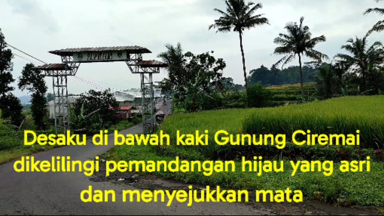 Desaku di bawah kaki Gunung Ciremai, dikelilingi pemandangan hijau yang asri dan menyejukkan mata