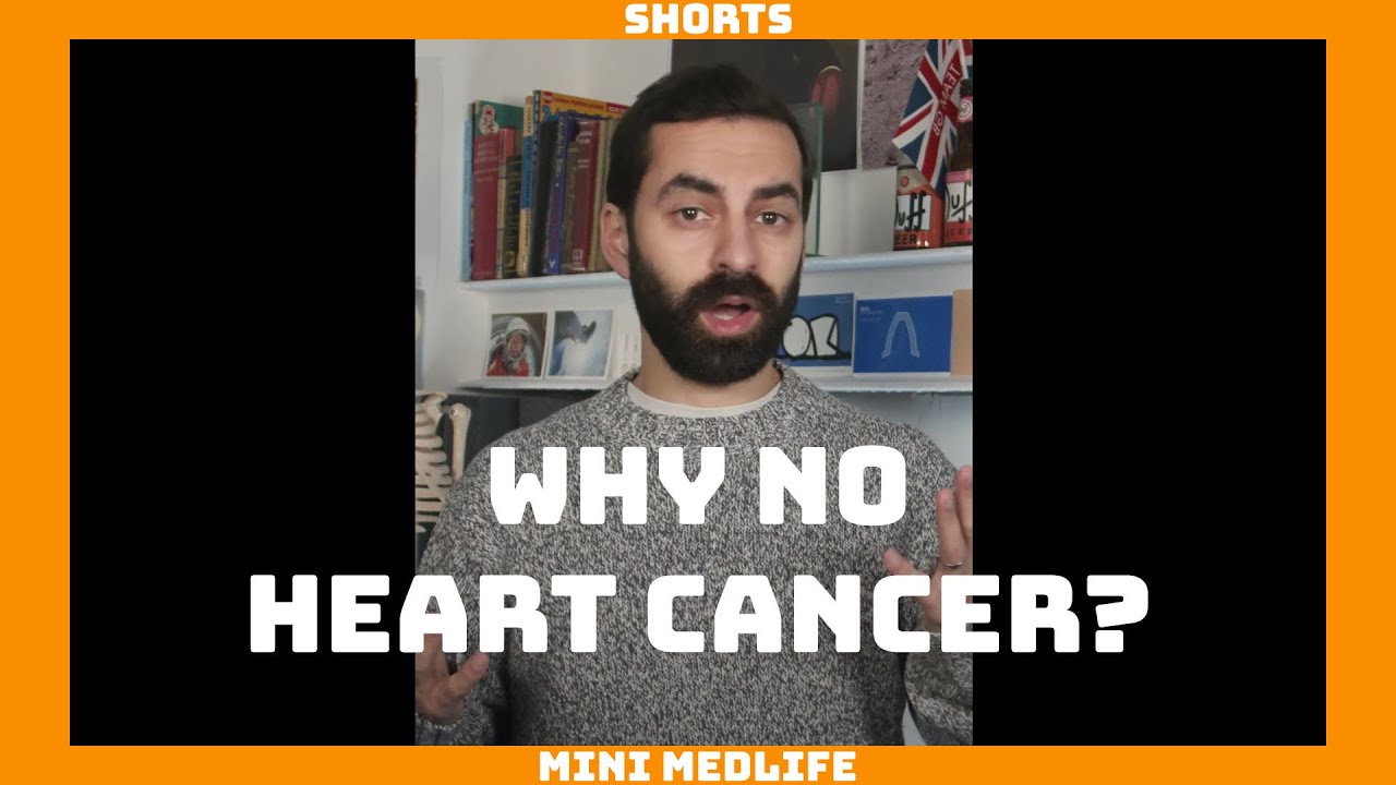 Why Don't People Get Heart Cancer? #shorts