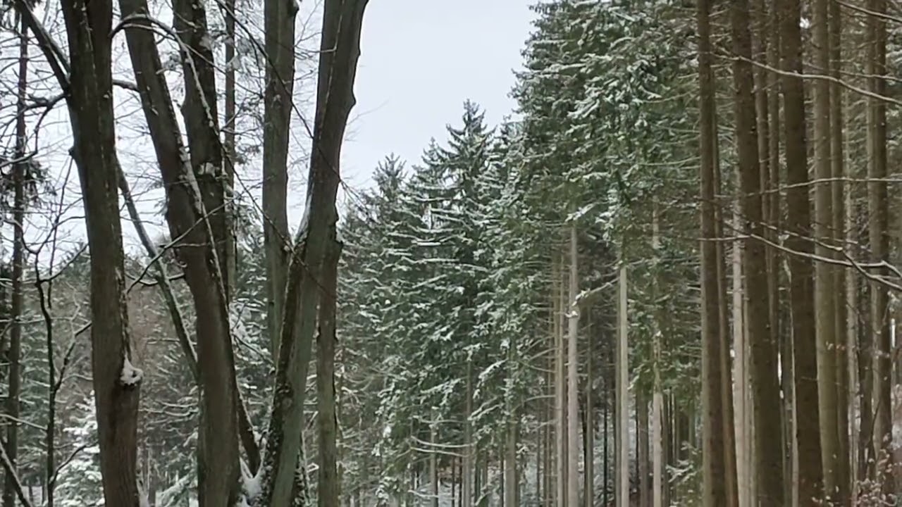 Lázeňská, Brandýs nad Orlicí 