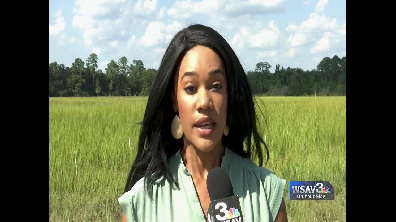 40 years after Hurricane David hit Savannah