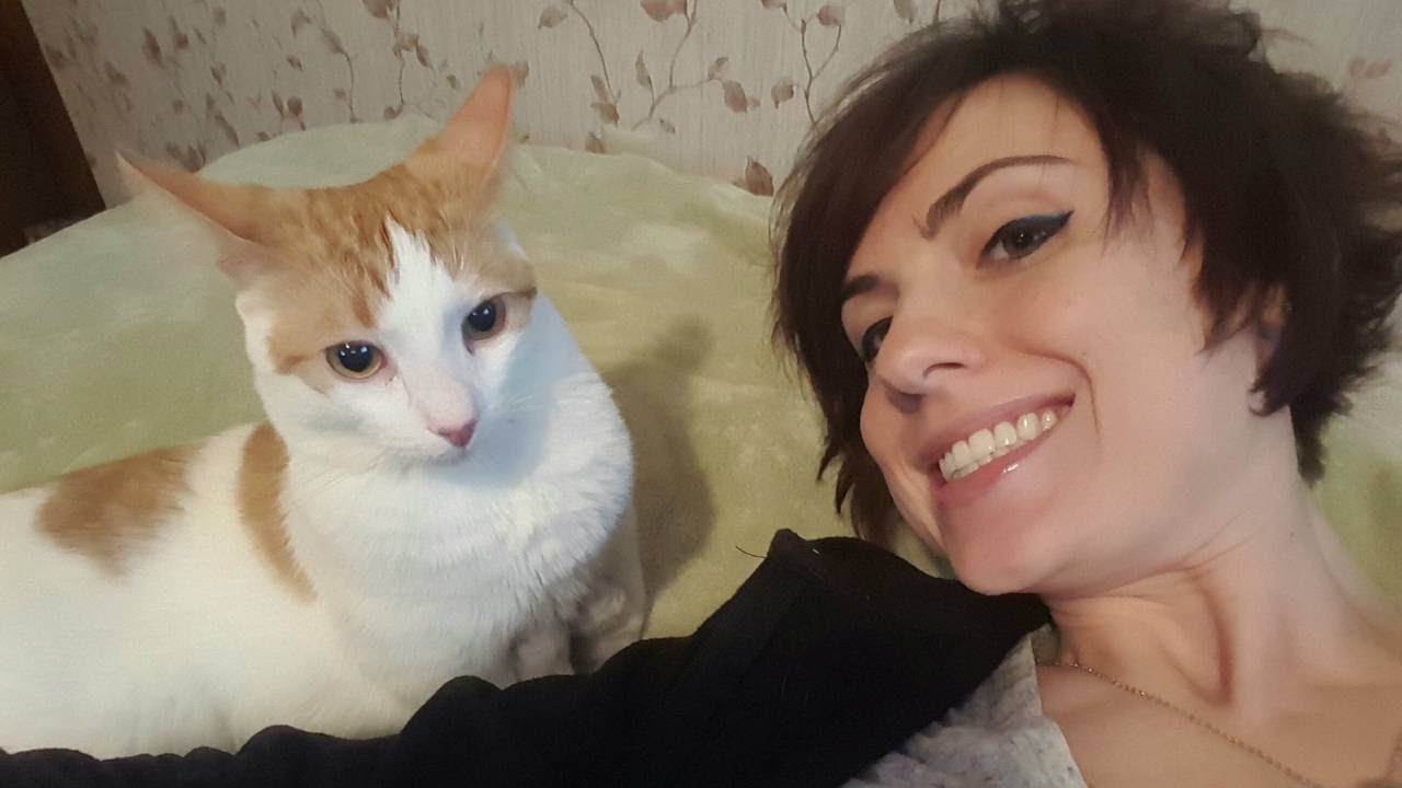 All 4 Pets: The inspiring story of Watson the cat