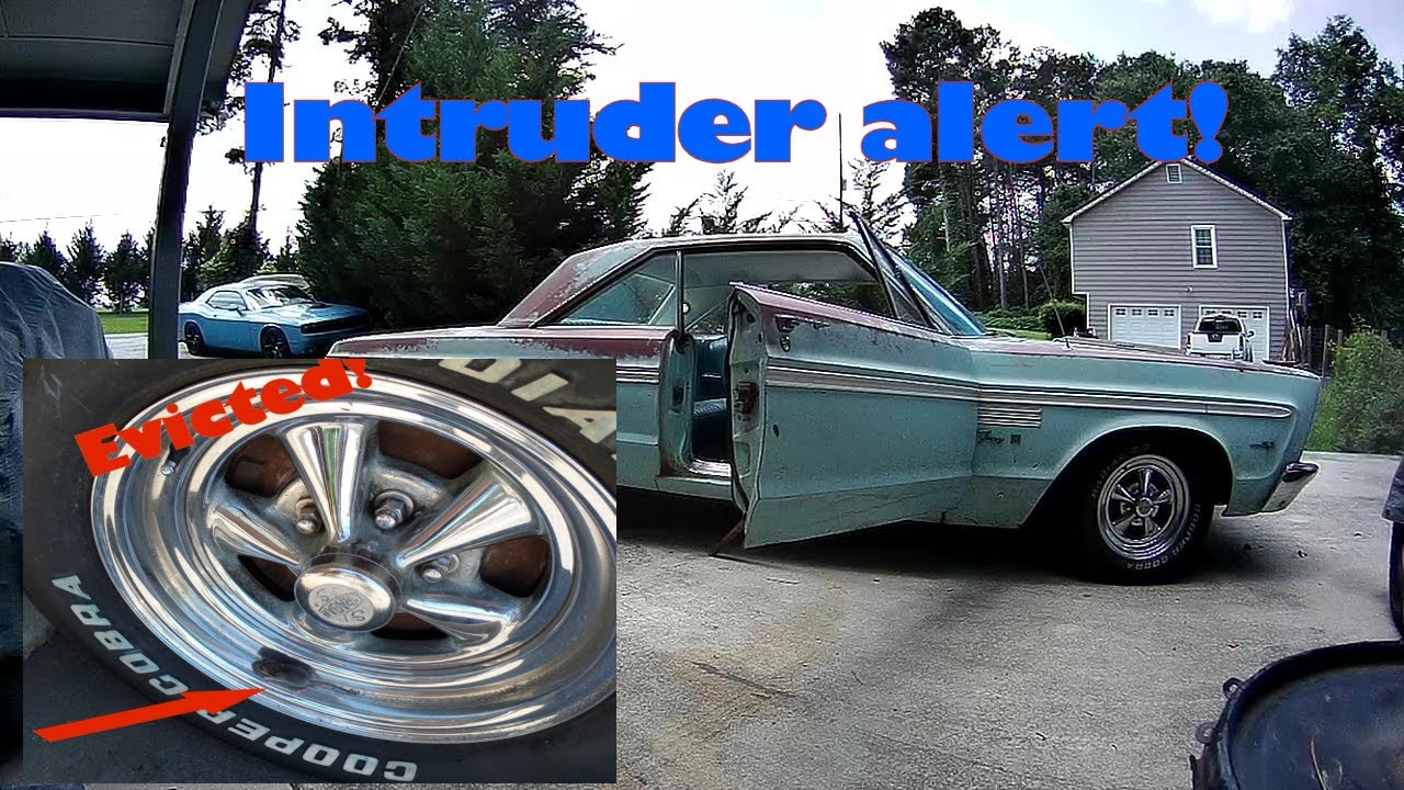 1965 Plymouth Fury III mice's damage control